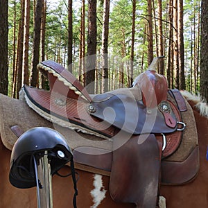 riding saddle and horse with nature background-