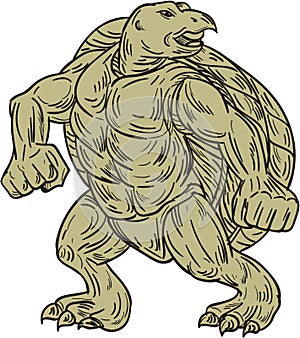 Ridley Sea Turtle Martial Arts Stance Drawing