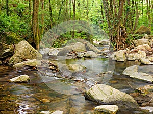 Riera de Sant MarÃ§al creek