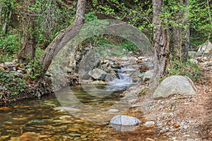 Riera de Sant MarÃ§al creek Montseny