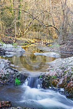 The Riera Major creek at the County of Seva