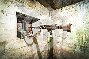 Riese project - Osowka