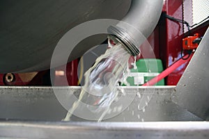 Riesling Flowing from the Press photo