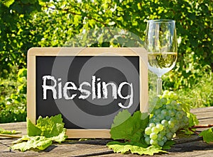Riesling wine glass and sign photo