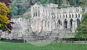 Rievaulx abbey