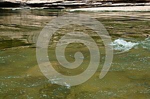 Riffle Colorado River Grand Canyon