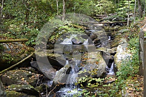 Riffles at Anna Ruby Falls creek photo