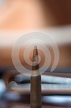 Rifle ammo on blurred background.