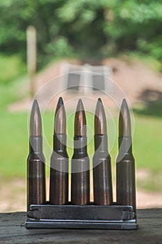 Rifle Gun Ammunition Ammo Bullets 7.62x54