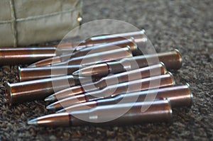 Rifle Gun Bullets and Ammunition in Size 7.62x54