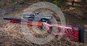 Rifle scope on a rimfire semi-auto firearm photo