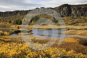 Rift valley at Pingvellir in Iceland