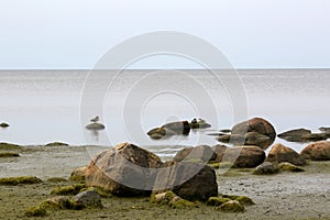 Rigas bay, Latvia photo
