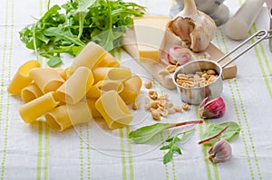 Rigatoni with garlic and herbs pesto