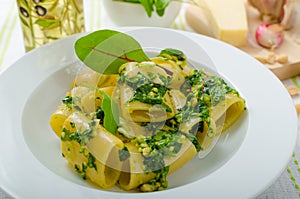 Rigatoni with garlic and herbs pesto