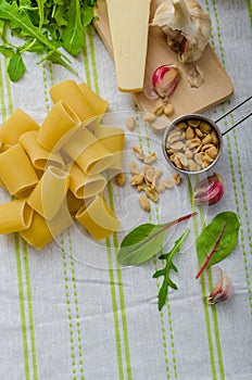 Rigatoni with garlic and herbs pesto