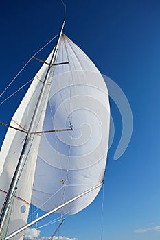 Rigging the symmetric spinnaker