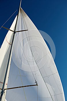 Rigging the symmetric spinnaker