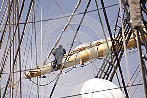 Rigging