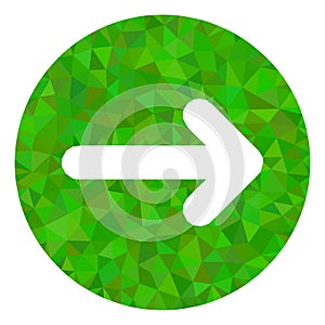 Right Direction Triangle Filled Icon