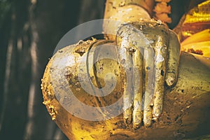 Right hand golden Buddha, Thailand, Asia, Body part