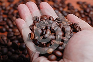 Right Hand Hold The Coffee Bean