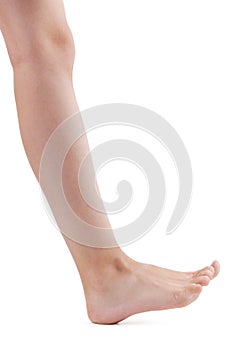 Right human foot on a white background