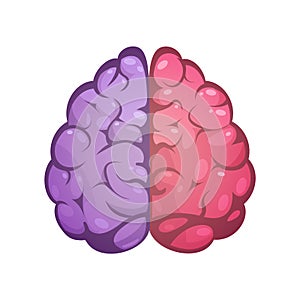 Right And Left Brain Symbolic Image