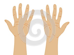 Right and Left Human Palms Vector Illustration