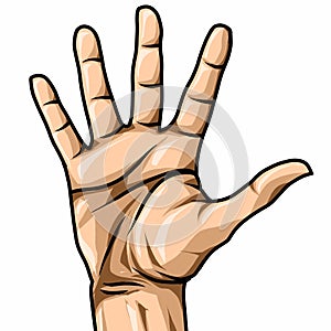 Right palm hand illustration on white background