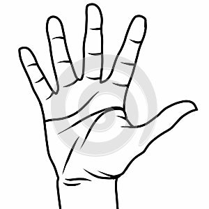 Right palm hand line art illustration on white background