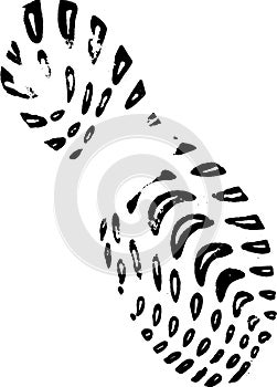 Right Plimsole Print