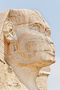 Right profile of the Sphinx of Giza.