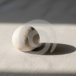 From the right side casts a soft shadow to the left adding depth to