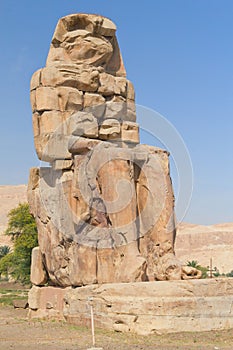 Right statue of the two colossi of Memnon (Egypt)