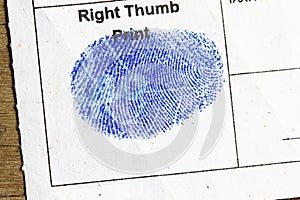 Right Thumb Finger Print