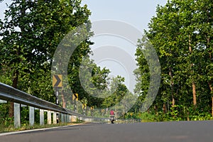 Right turn signal post in an Indian jungle bent road with trees , empty forest roadway with space