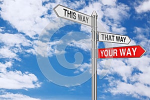 Right Your Way Choice in Business and Life Signpost. 3d Rendering