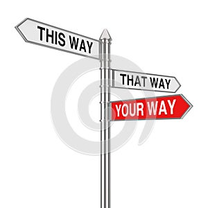 Right Your Way Choice in Business and Life Signpost. 3d Rendering