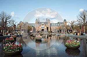 Rijksmuseum with Tulips Flowers in The Netherlands Amsterdam Holland