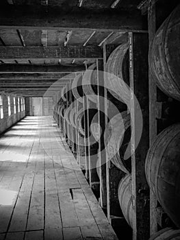 Rikhouse Barrel of Bourbon Kentucky photo