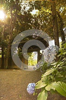 Rikugien Garden`s interior door in Tokyo made of wood and tiles photo