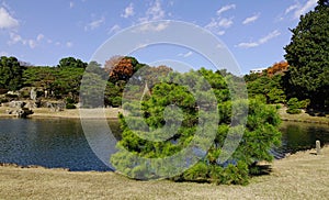 Rikugien Garden in Tokyo, Japan