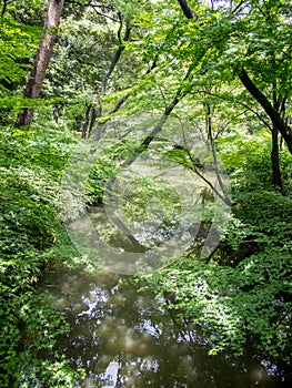 Rikugien Garden, Tokyo, Japan