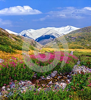 Rila mountain, Bulgaria photo