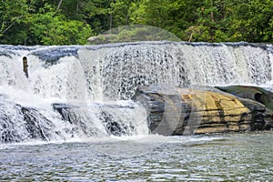 Riley Moore Falls Waterfall