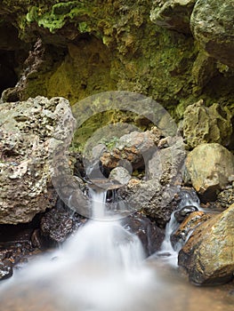 Rill from cave in forest