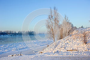 Rime on the branches in winter in a forest near a frozen river