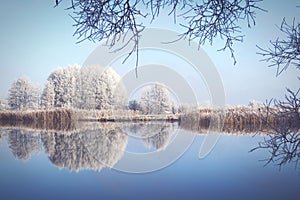Rime frost landscape at Havel river Brandenburg - Germany