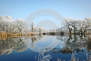 Rime frost landscape at Havel river Brandenburg - Germany